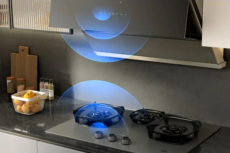 <em>R-Link Sync</em>