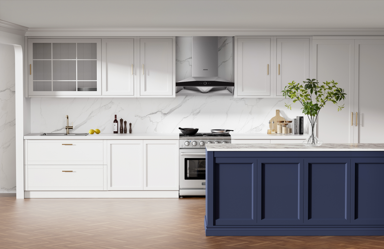 Stainless Steel Range Hood