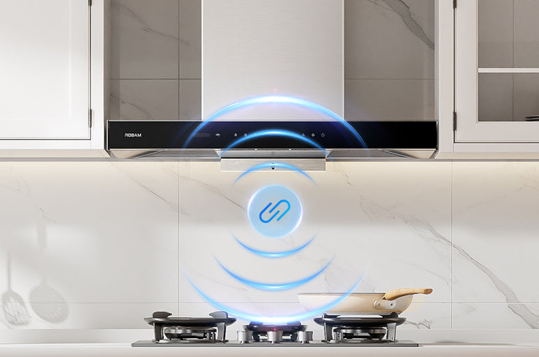 <em>R- Link* Sync</em>