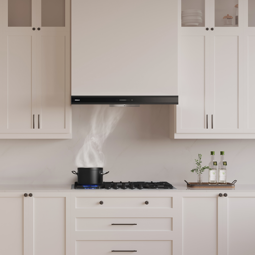 ROBAM 抽油烟机 A831 - 30英寸