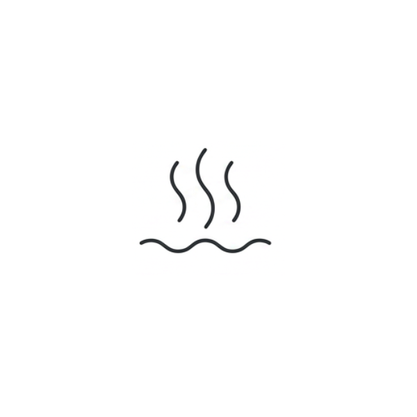Steam